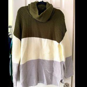 Over sized turtle neck sweater